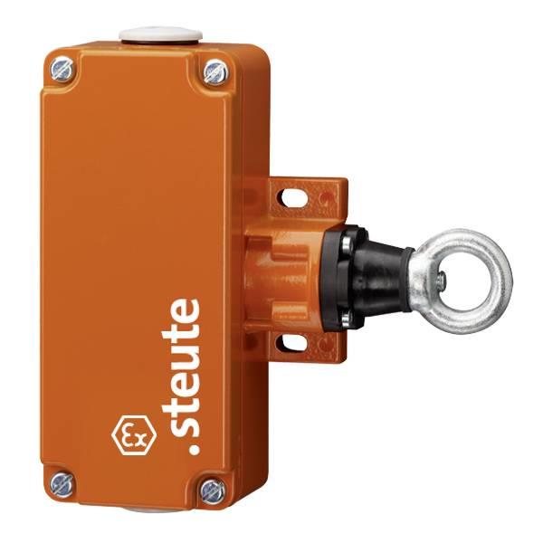 75341304 Steute   
